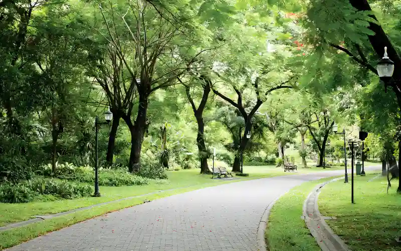 تصميم البوسكو العاصمة الإدارية