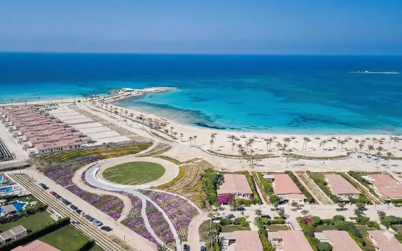 سيزر سوديك رأس الحكمة