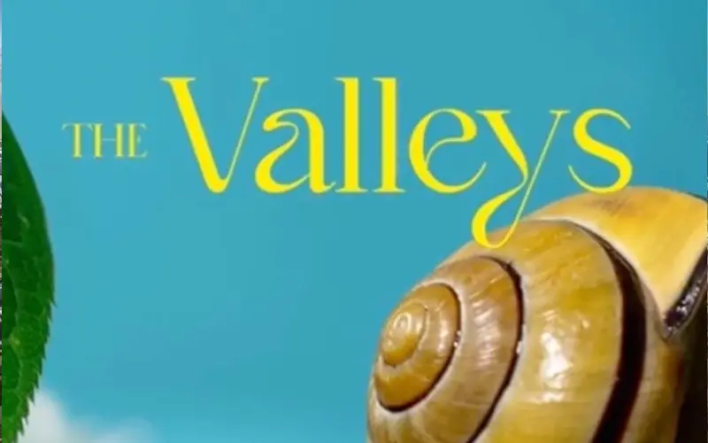 كمبوند ذا فاليز المستقبل سيتي the valleys أسعار وتفاصيل