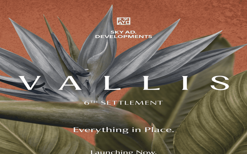 Vallis Compound Sixth Settlement