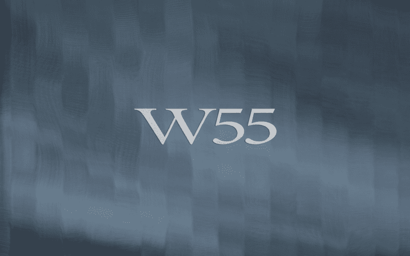 مول W55 القاهرة الجديدة