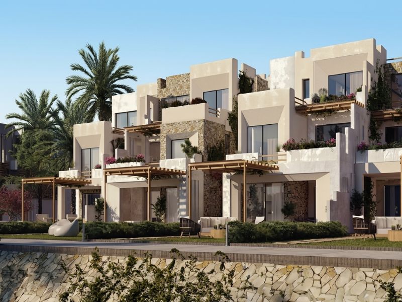 _el masyaf north coast (2)